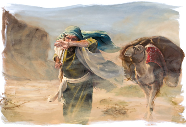 Illustrazione a pagina 53