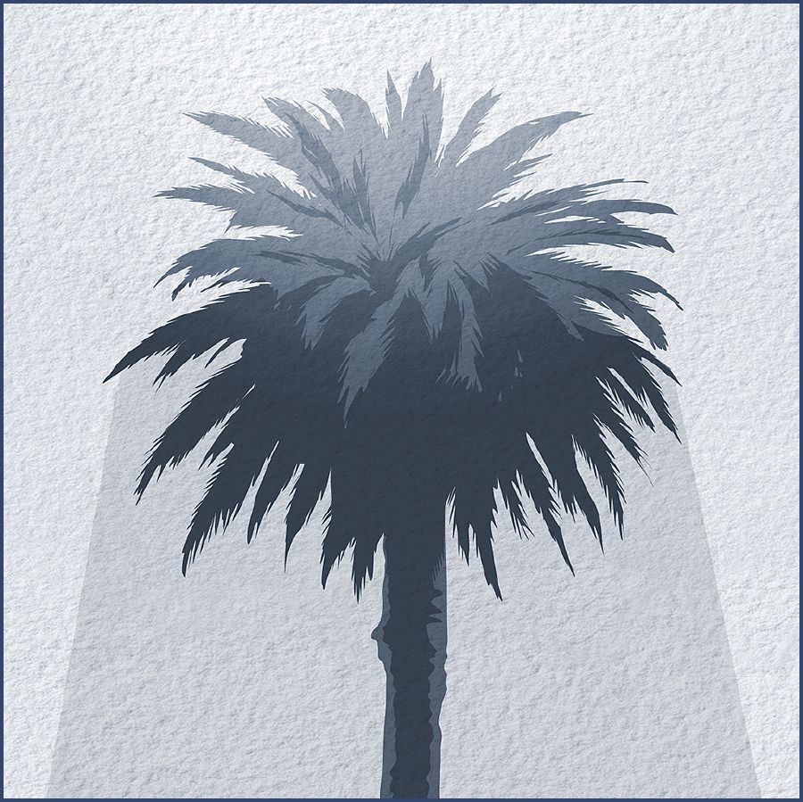 Un albero che fa ombra e ripara dal sole