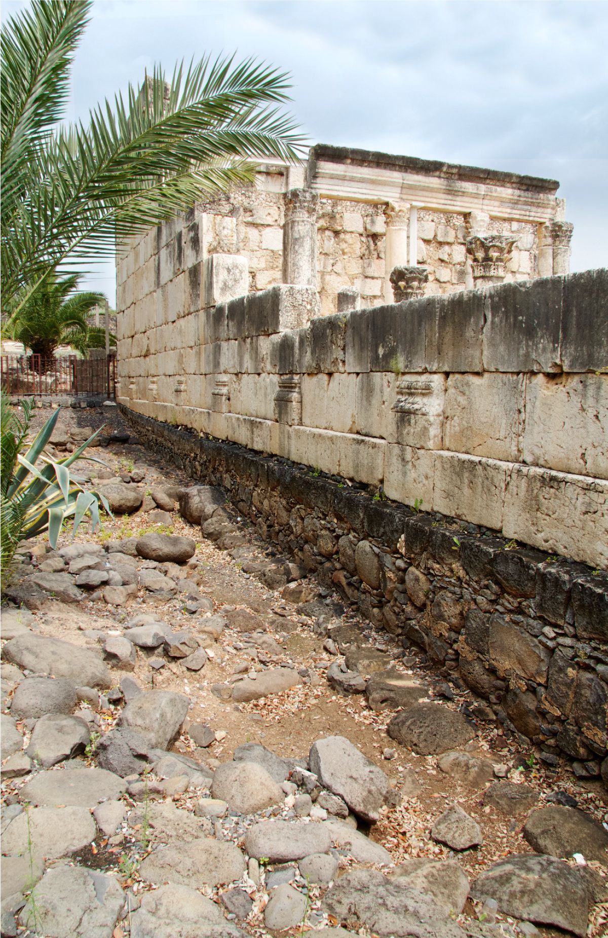 La sinagoga di Capernaum