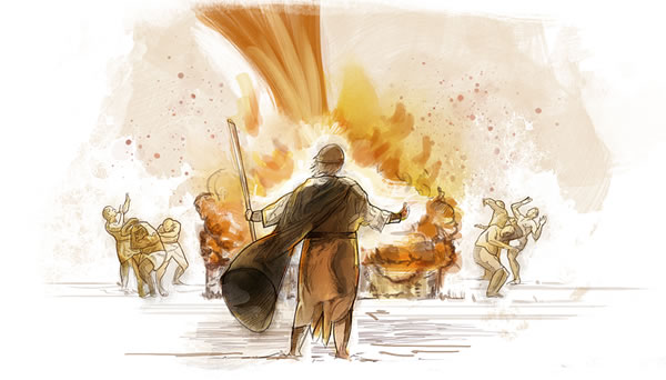 [Immagine a pagina 25]