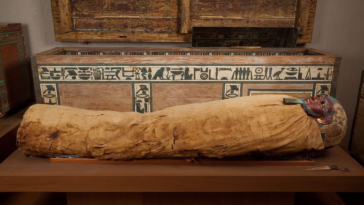 Una mummia egizia esposta in un museo.
