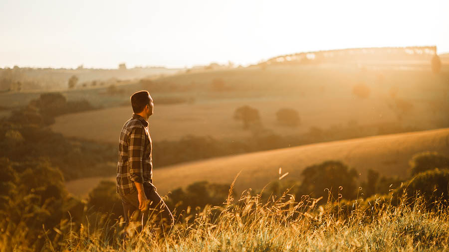 Un uomo cammina in un campo al tramonto.