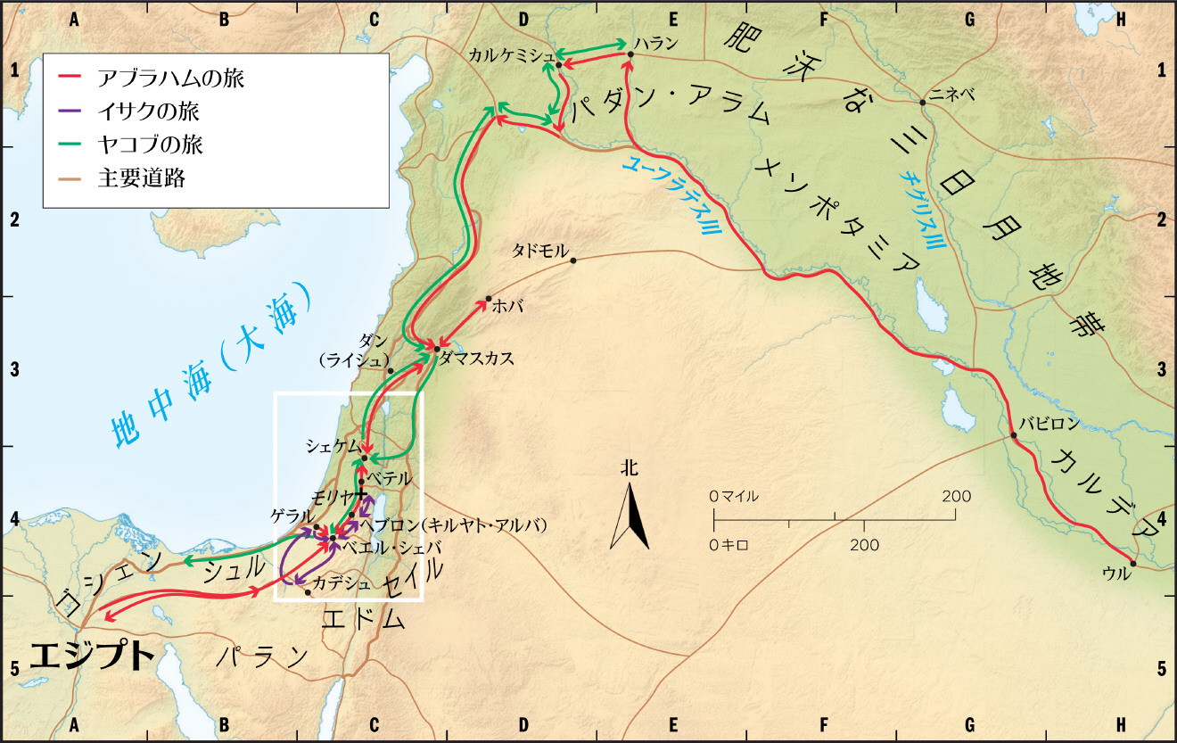 族長たち（概観）