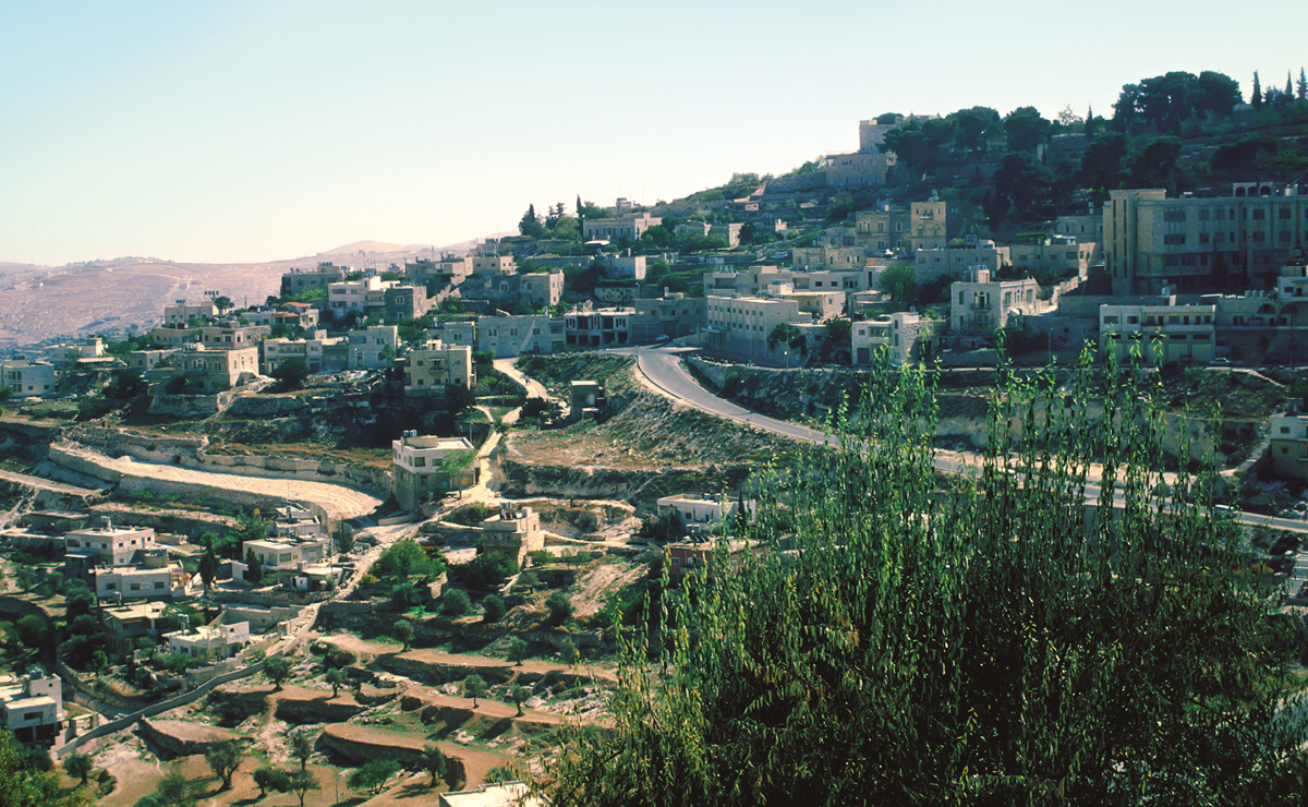 [715ページの図版]