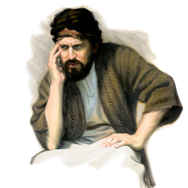 17ページの図版