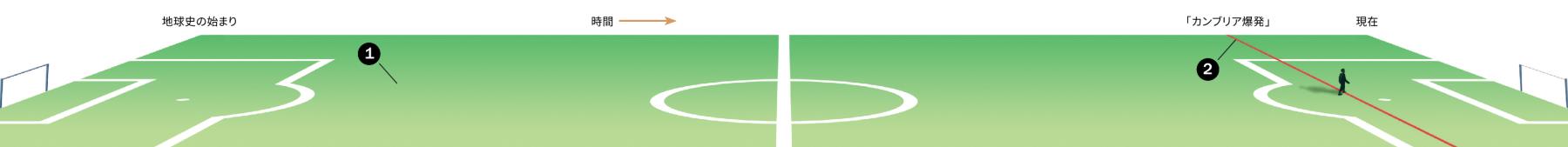 サッカーのフィールドに見立てた年表。地球史の始まりからカンブリア爆発までの時間の長さが示されている。