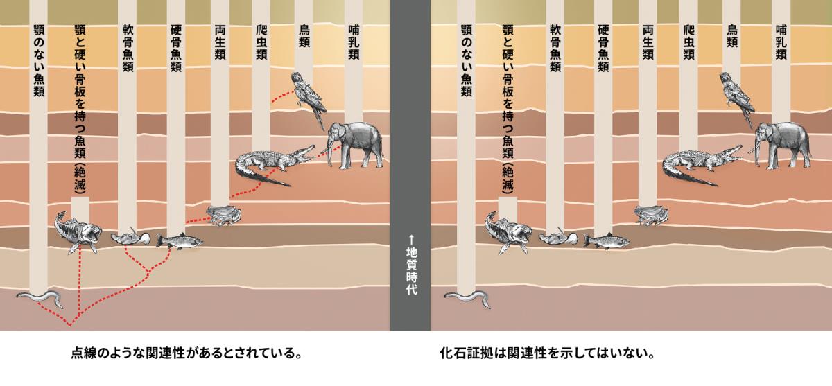 異なる種類の動物の間にあるとされている関連性を示した図
