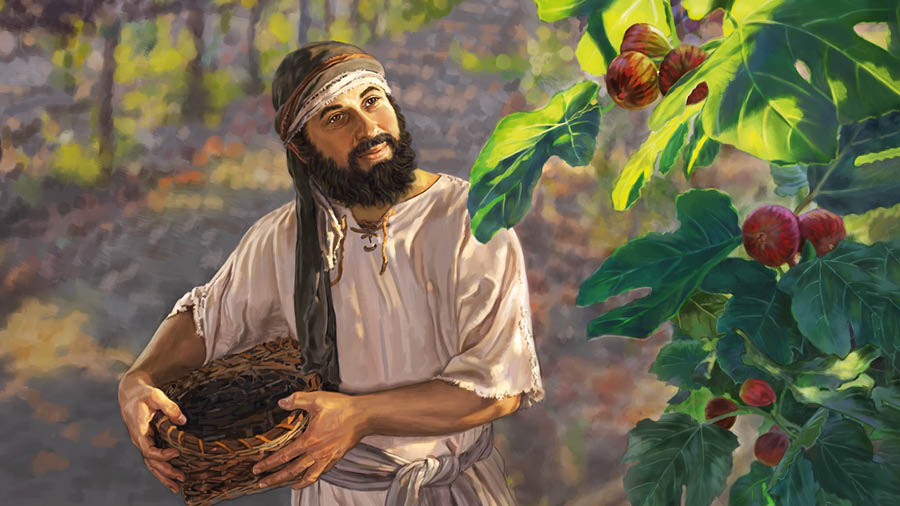 [Dizenhu na pájina 6]