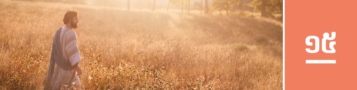 មេរៀនទី១៥។ លោកយេស៊ូដើរកាត់វាលស្រែ។