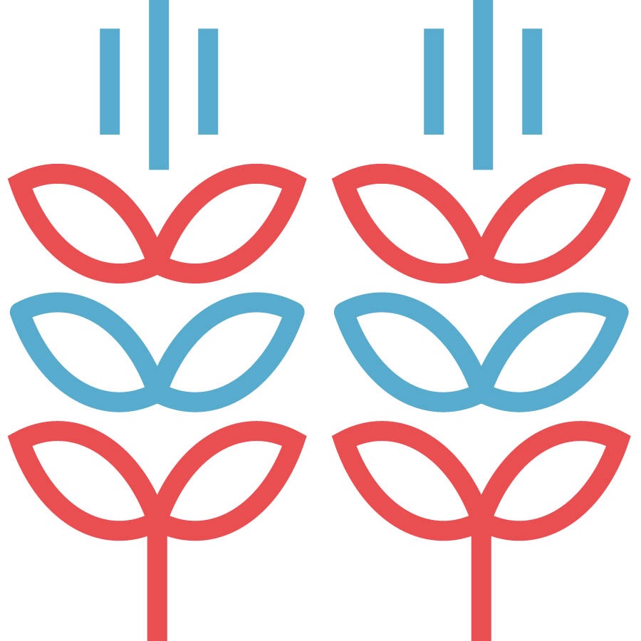 ಧಾನ್ಯ