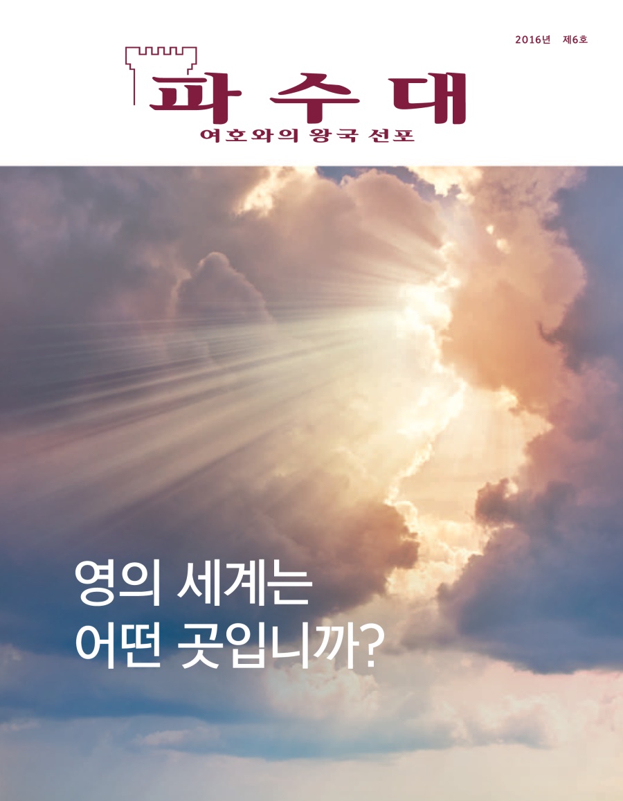 파수대 2016년 제6호 | 영의 세계는 어떤 곳입니까?