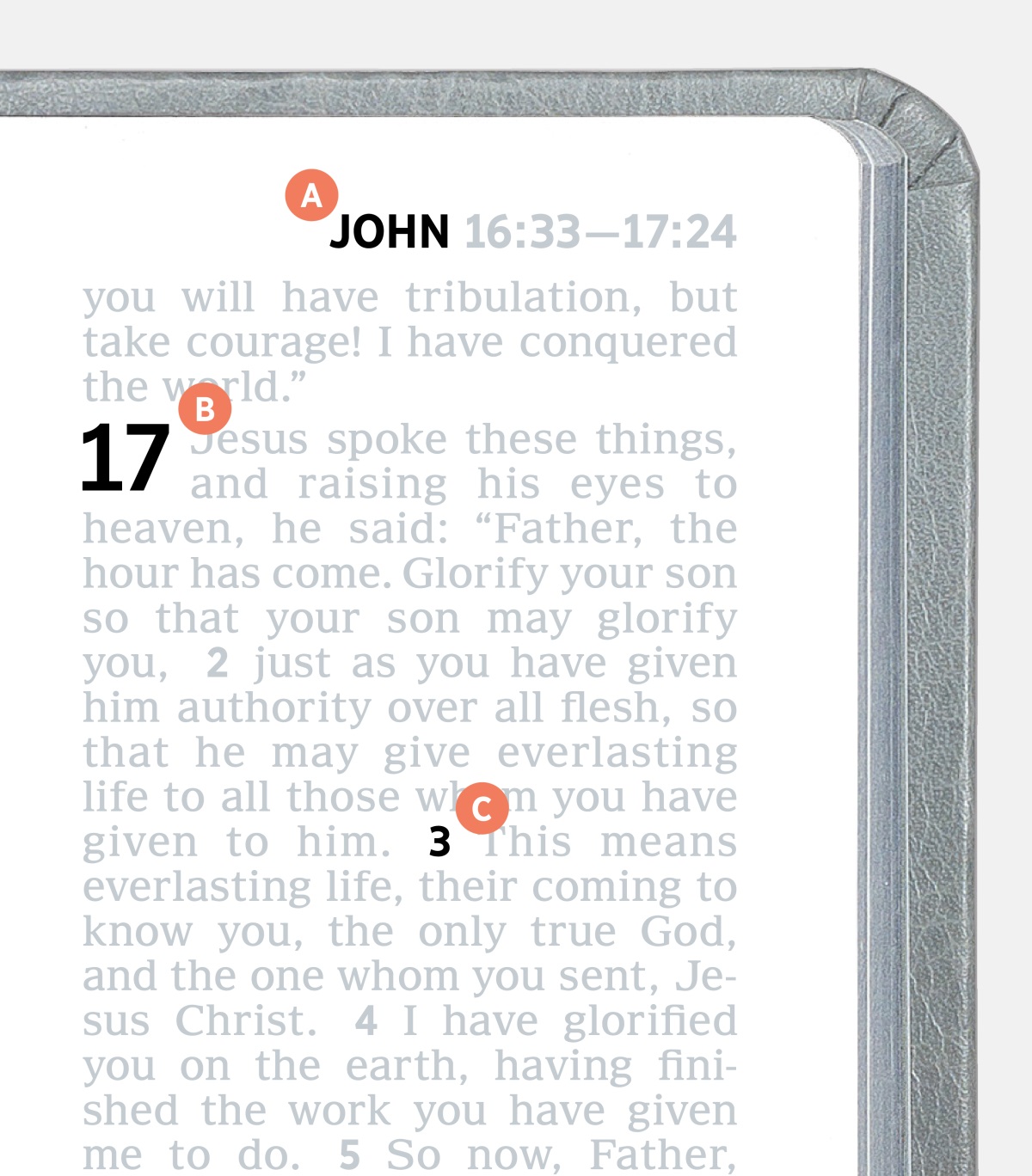 The place that get A, B, and C showing what you can find on each page in the Bible.