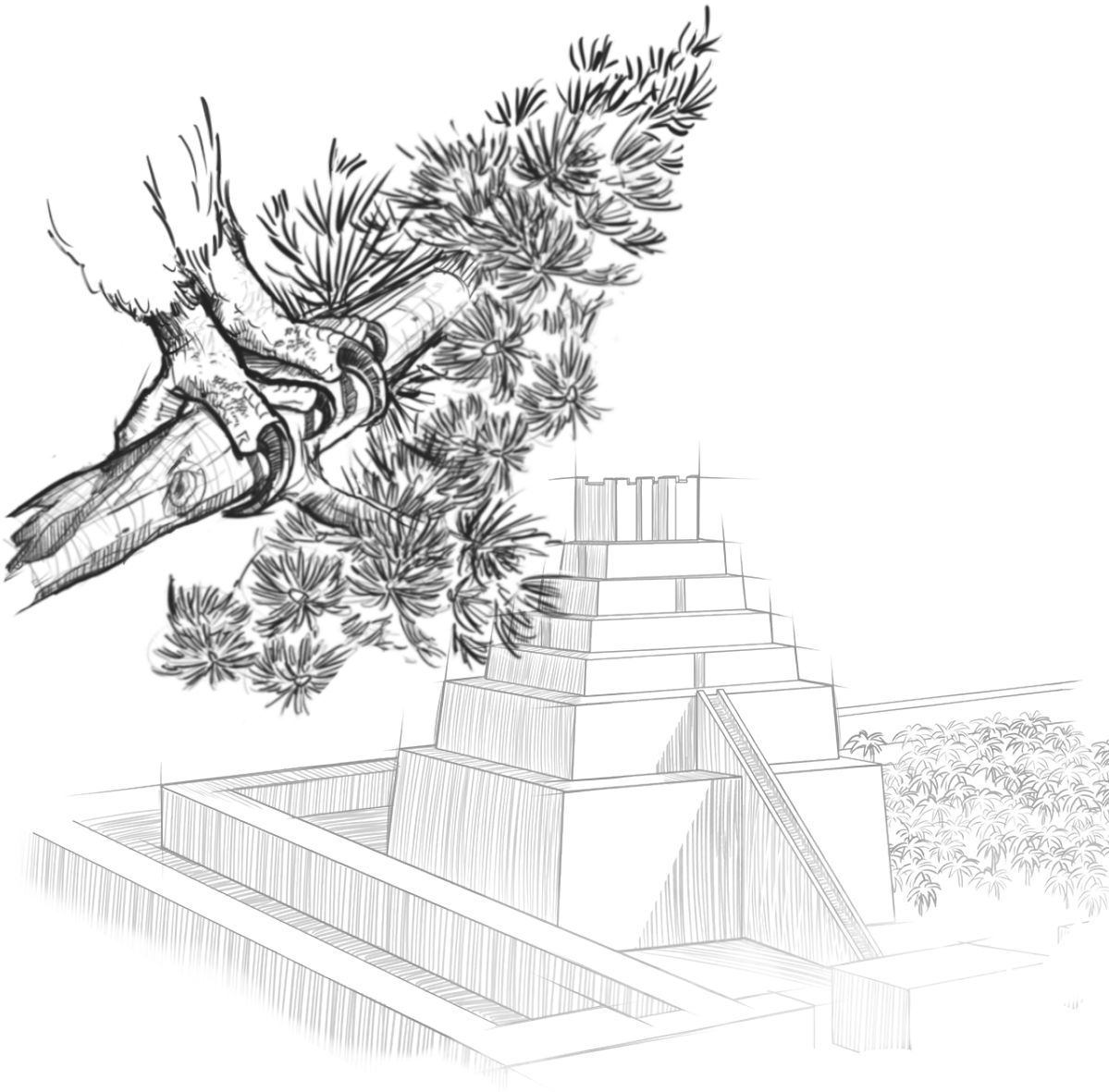 An eagle carrying to Babylon a shoot of a cedar tree in its talons.