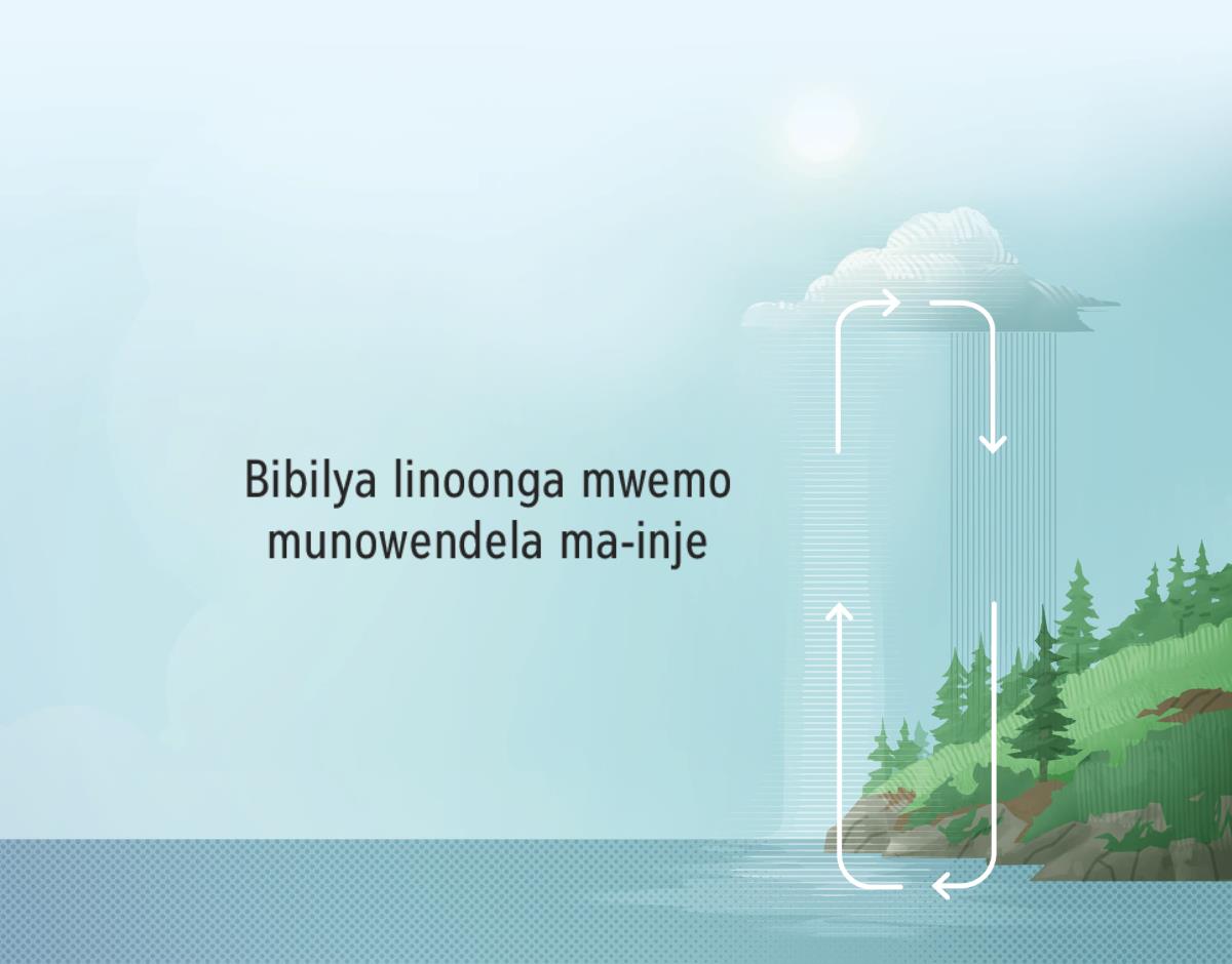Bibilya linoonga mwemo Bibilya linoonga mwemo munowendela ma-inje. Maseta tathonyi-edhanga moira rungunuwa moda unowedela ma-inje kumela vailambo yavathi dhowa dhulu.