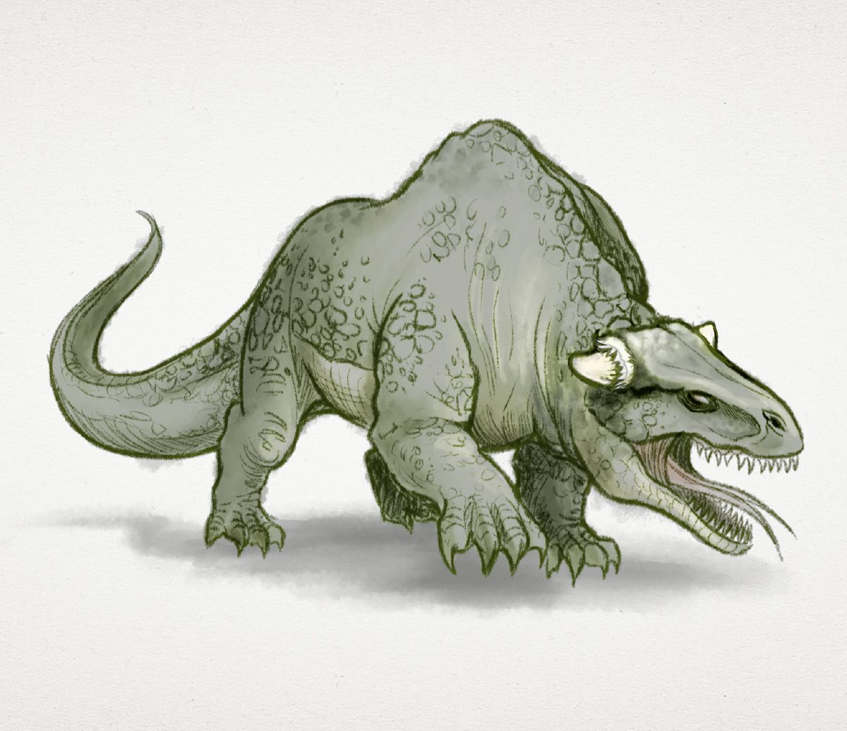 nyama yoophi-a ya nyanga mbiili