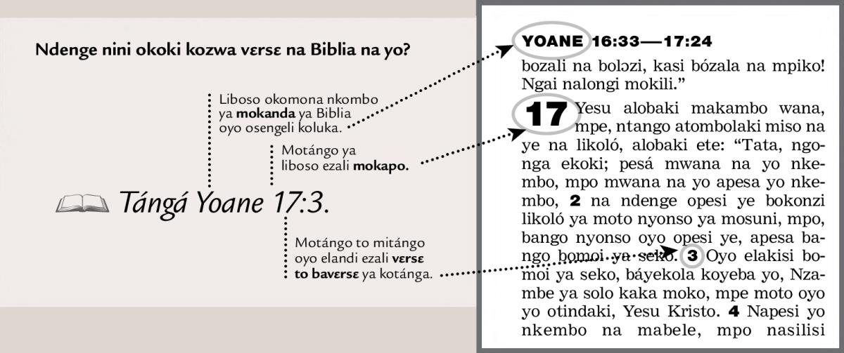 Ndenge ya koluka bavɛrsɛ na Biblia