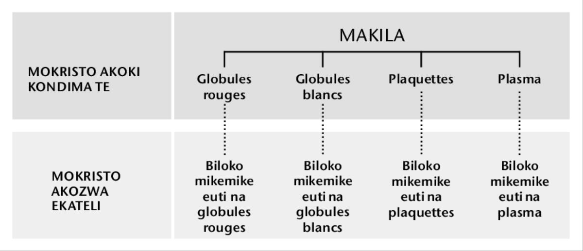 [Etanda na lokasa 216]