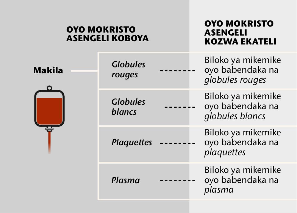 Makila, biloko minei oyo esalaka makila, mpe fractions sanguines