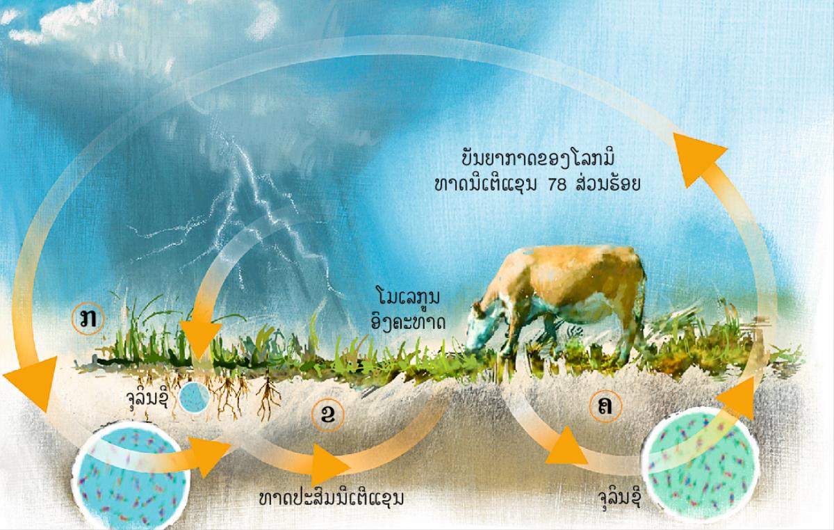 ວົງ​ຈອນ​ຂອງ​ນີ​ເດີ​ແຊ​ນ