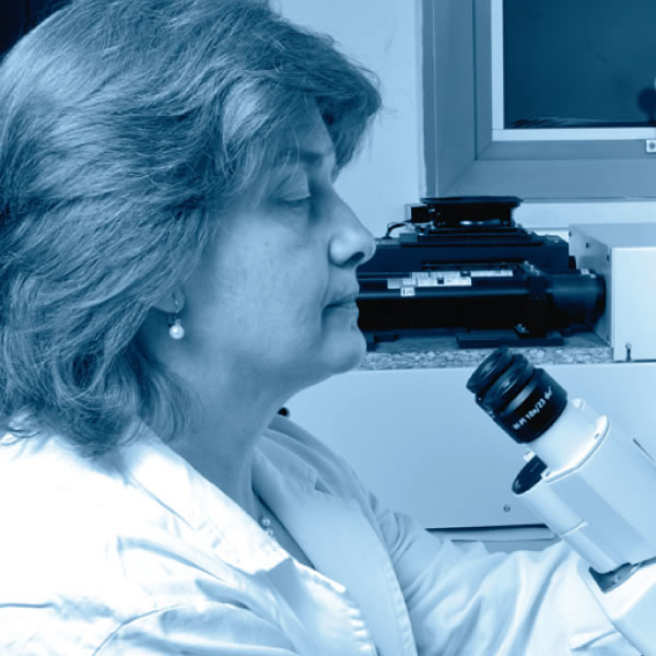 [Iliustracija 6 puslapyje]