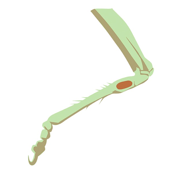 [Schema 16 puslapyje]