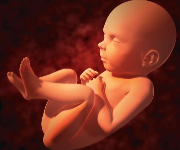 [Iliustracija 3 puslapyje]