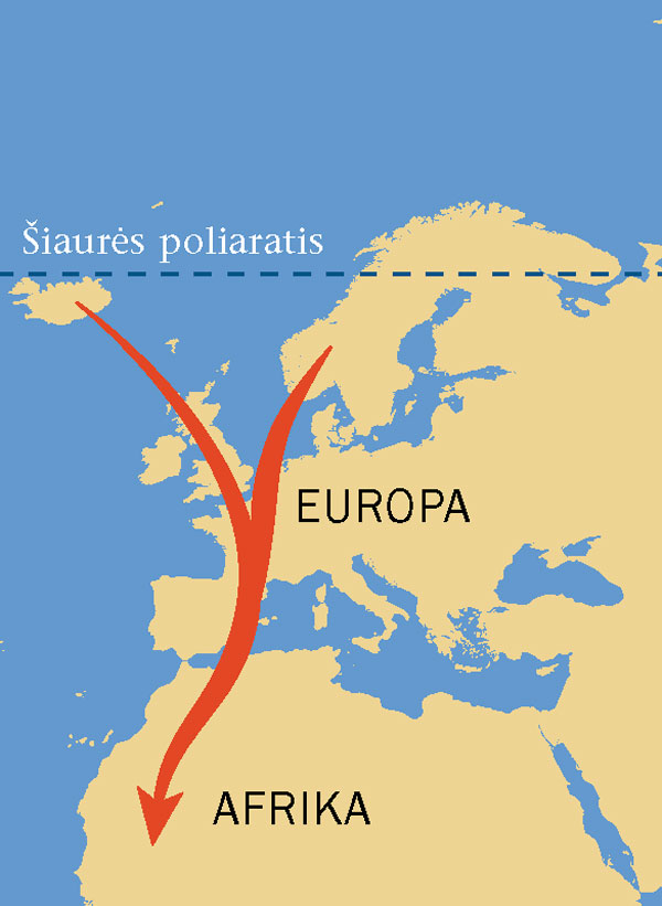 [Žemėlapis 14 puslapyje]