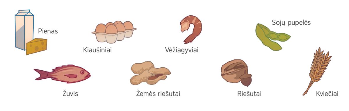 Pienas, kiaušiniai, vėžiagyviai, sojų pupelės, žuvis, žemės riešutai, kitokie riešutai, kviečiai