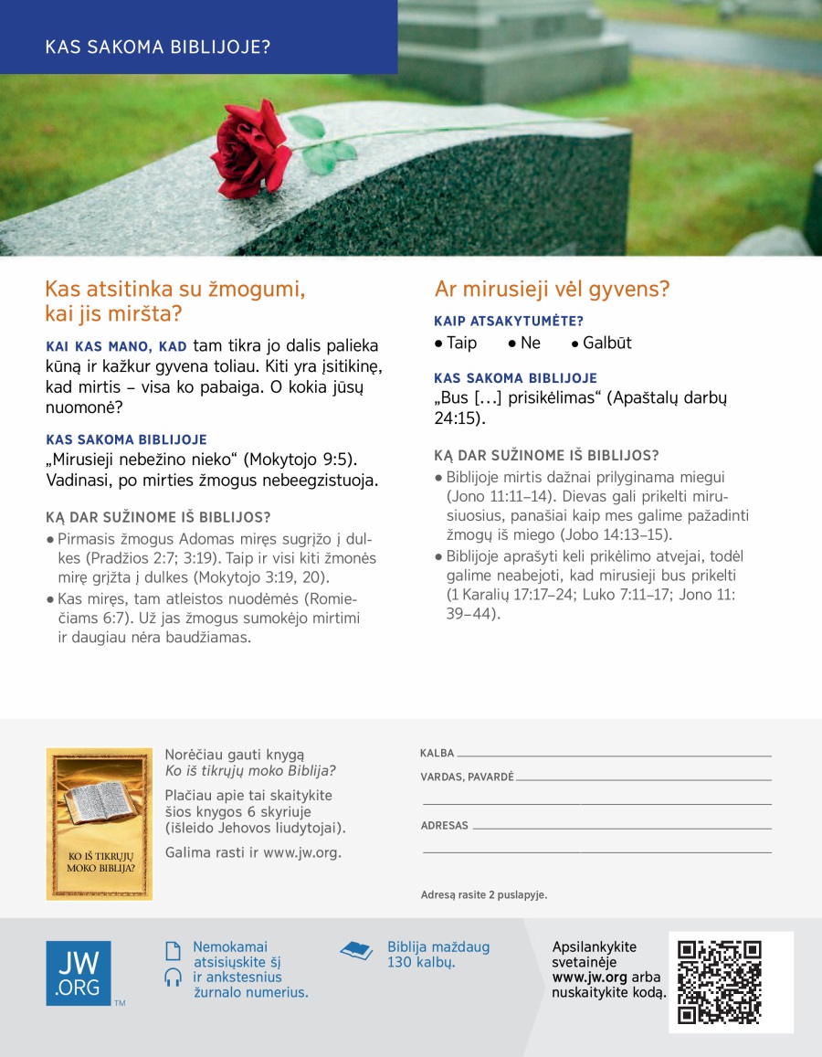 Rožė ant antkapio