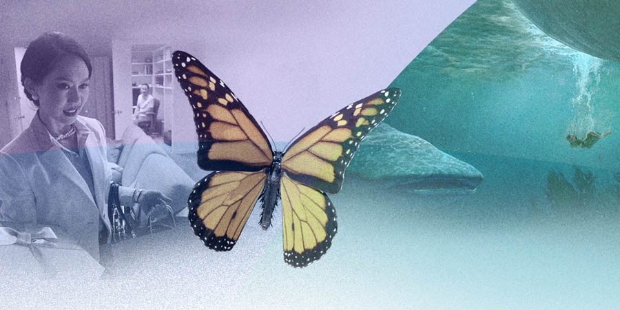 Bimfuanyi bidi bileja malu manene a mu Disambombo mu mapingaja adi mu programe wa mpungilu wa Bantemu ba Yehowa wa  2017.