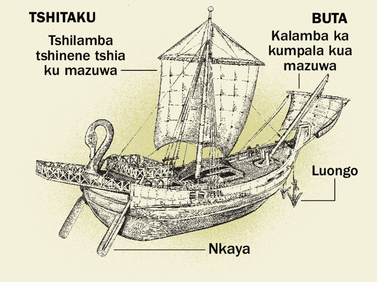 Mazuwa a tshiena kale ne bitupa biawu binene binayi, kumbukila ku tshitaku too ne ku diulu diawu. 1. Nkaya. 2. Tshilamba tshia ku mazuwa tshitu tshikuata lupepele. 3. Luongo. 4. Tshilamba tshia kumpala kua mazuwa.