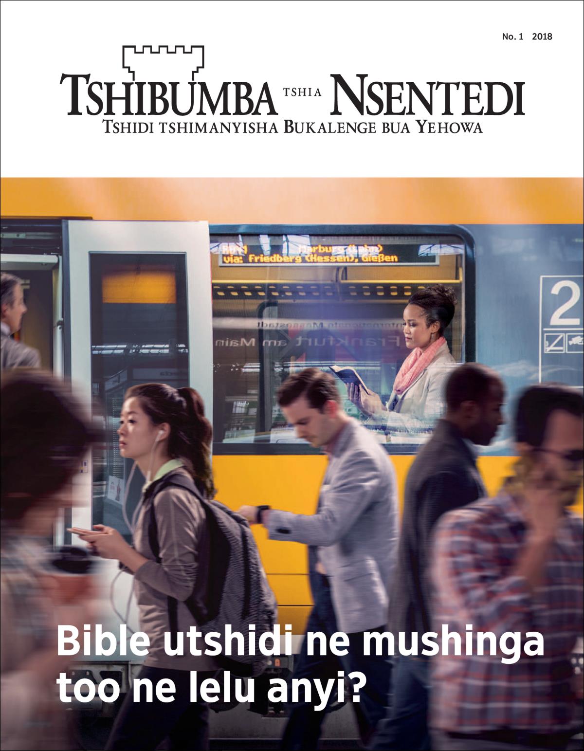 Tshibumba tshia Nsentedi