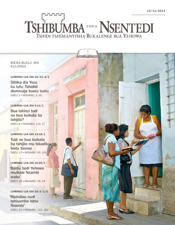 Tshizubu tshia Tshibumba tshia Nsentedi tshia kulonga, 15/11/2014