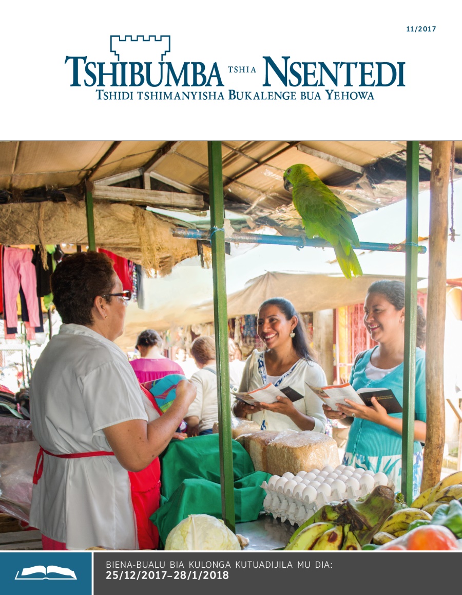 Tshibumba tshia Nsentedi tshia kulonga, Ngondo wa 11/2017