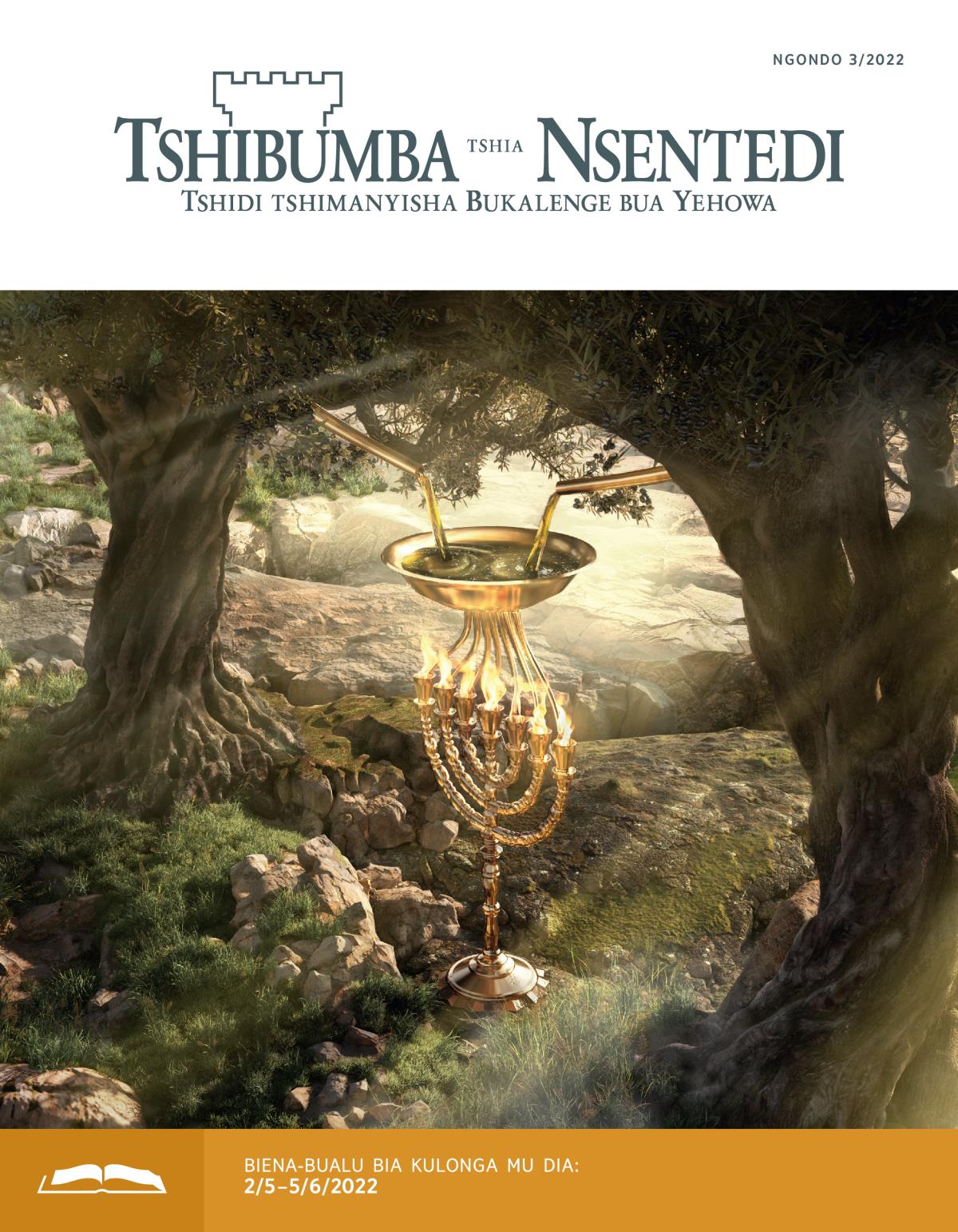 Tshibumba tshia Nsentedi tshia kulonga tshia ngondo 3/2022.