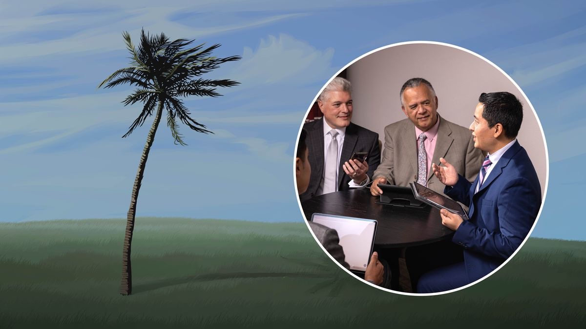 Mutshi uvua ubendama au, mubendame mu tshipepele tshikole. Foto uleja bakulu mu tshisangilu, bateleja padi mukulu wa muana ku bonso wakula.