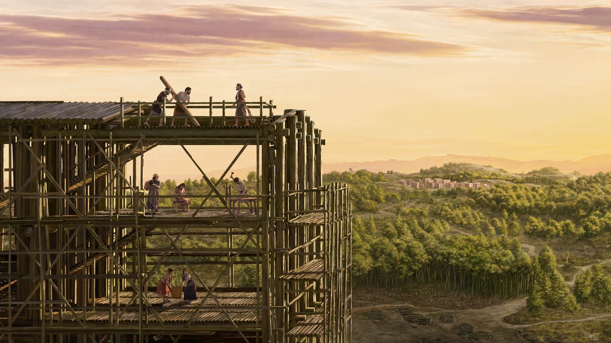 Noa ne dîku diende bibaka buatu. Musoko munyunguluka kudi dîtu umuenekela pa bule panyima pabu.