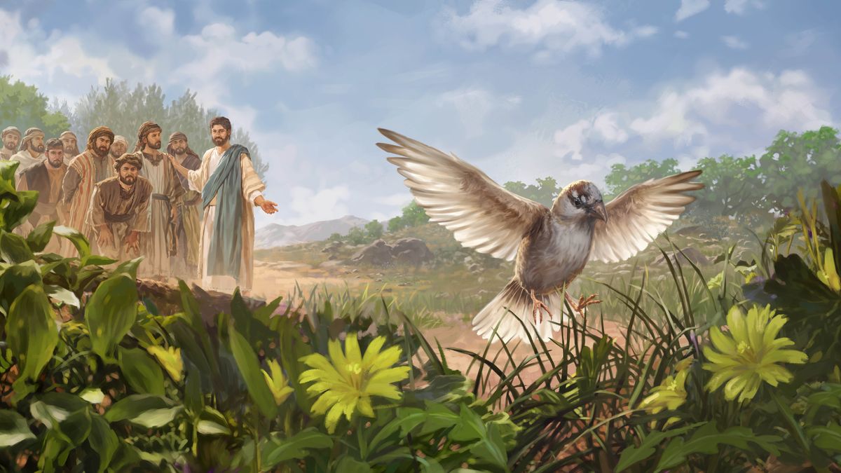 Yezu ufunkuna mushamusha udi wikila panshi. Bayidi bende bamuteleja ne ntema.