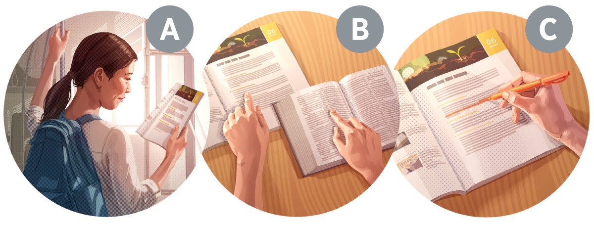 Milem: Nu pakhat chu Bible zirna nei tûrin a inbuatsaih. A. Chu nu chuan zirlaia paragraph hmasa ber a chhiar. B. Bible châng târ lante Bible aṭangin a chhiar. C. Zirlaia thu pawimawh laite chu a rîn.