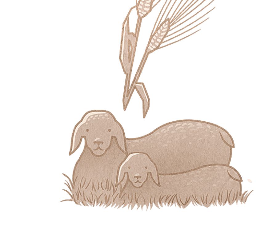 Firstfruits of the harvest and a firstborn male lamb