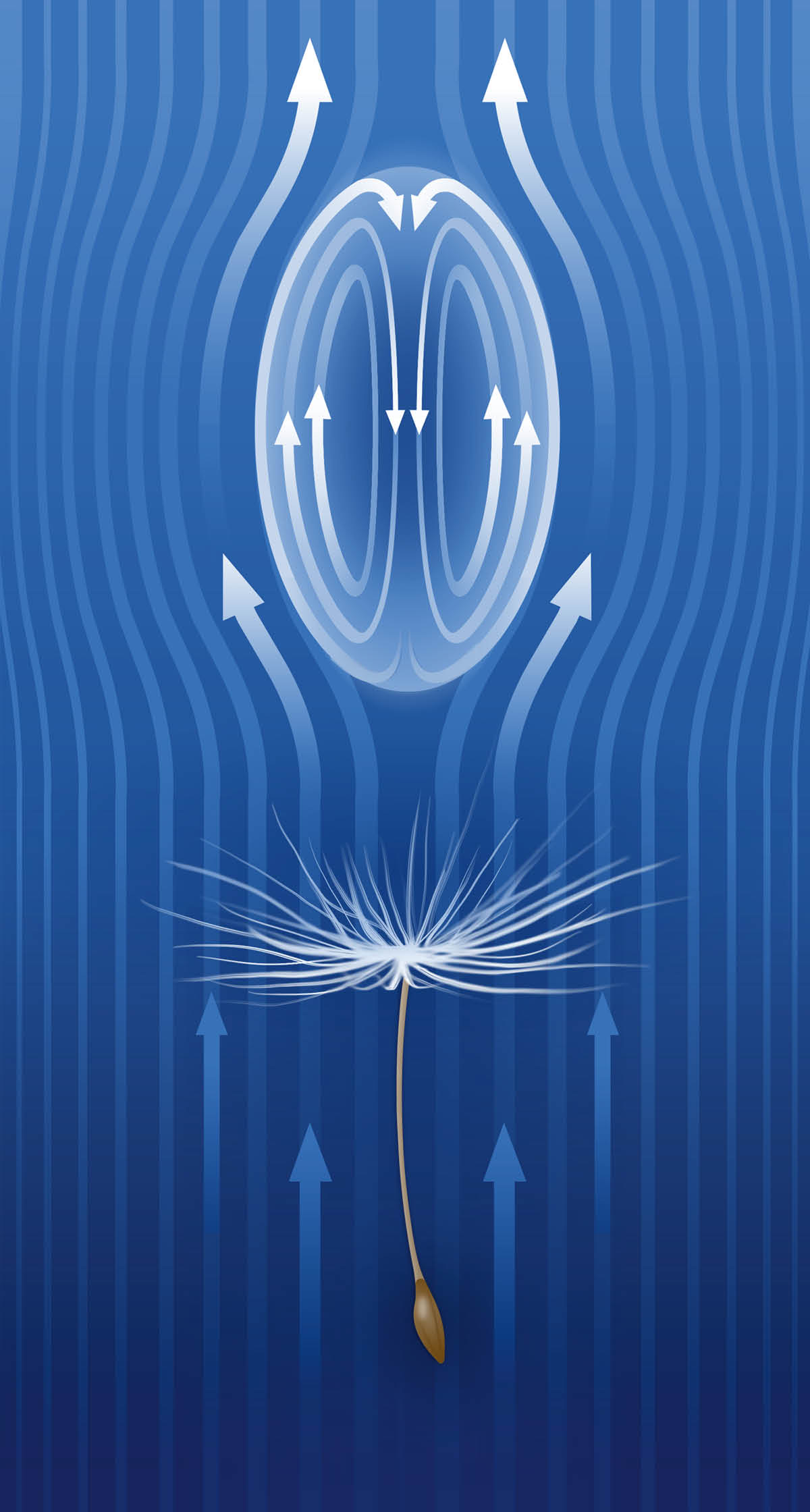Enn zimaz ki pe montre kouma enn tourbiyon ler, ouswa enn vortex, pe fer enn lagrin pisanli tonbe dousman.