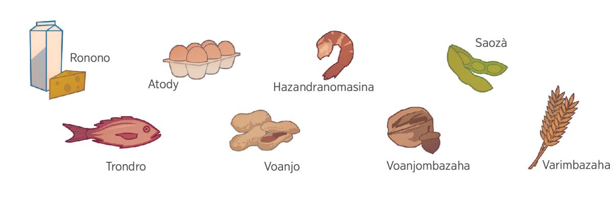 Ronono, atody, hazandranomasina, saozà, trondro, voanjombazaha, voanjo, varimbazaha