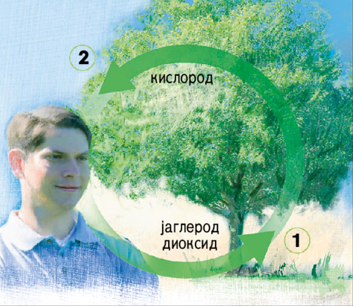 Јаглероден и кислороден циклус