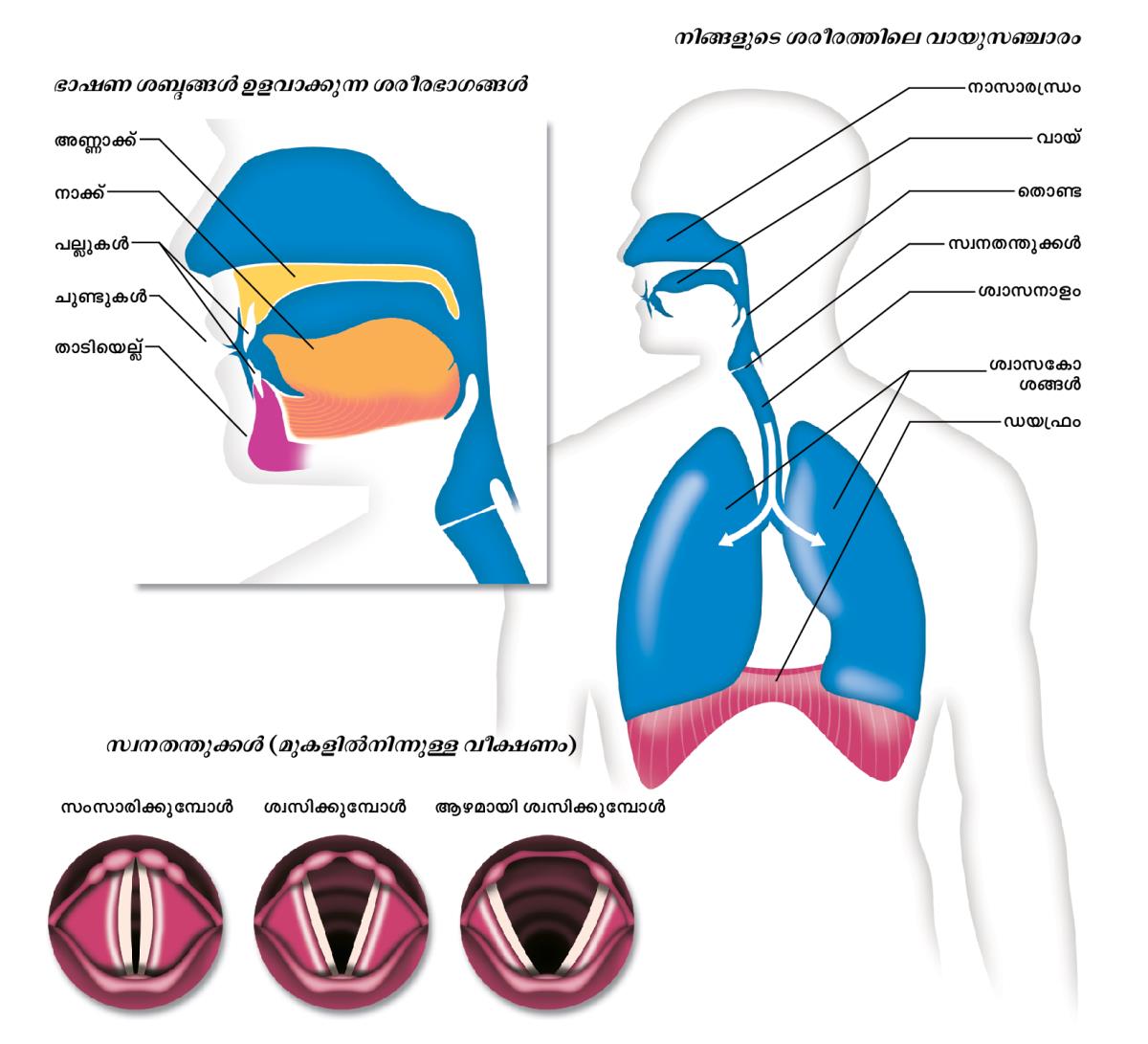 [183 ലെ രേഖാചിത്രങ്ങൾ]