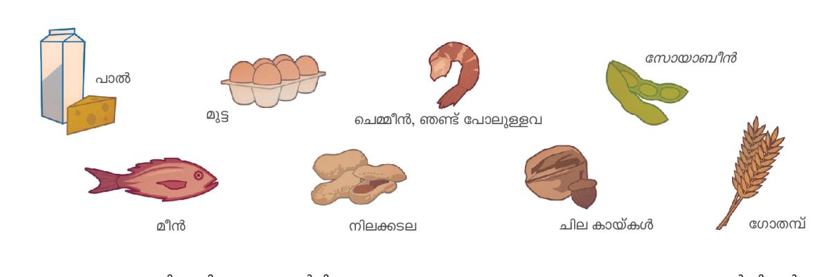 ചെമ്മീൻ, ഞണ്ട്‌ എന്നിവയുടെ വർഗത്തിൽപ്പെട്ടവ, പാൽ, മുട്ട, സോയാബീൻ, മീൻ, നിലക്കടല, ചില കായ്‌കൾ, ഗോതമ്പ്‌