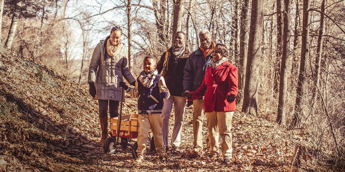 People walk in the woods and enjoy looking at nature