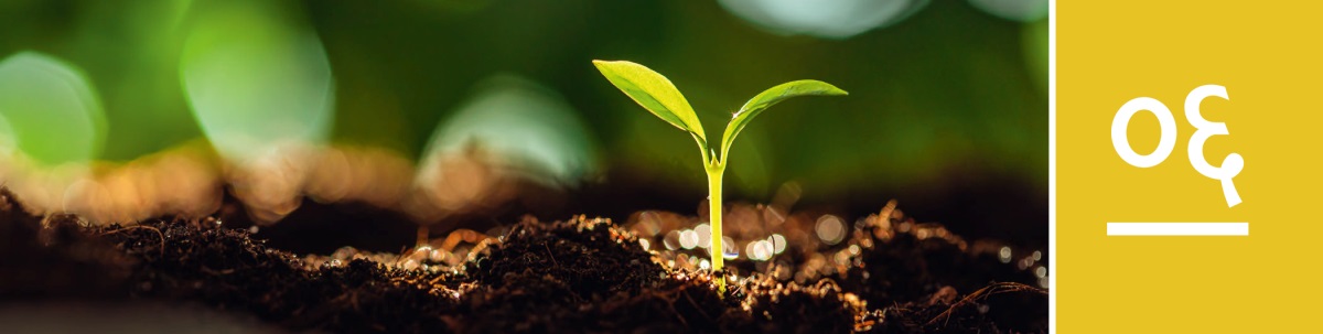 धडा ६. जमिनीतून लहानसं रोपटं उगवतंय.