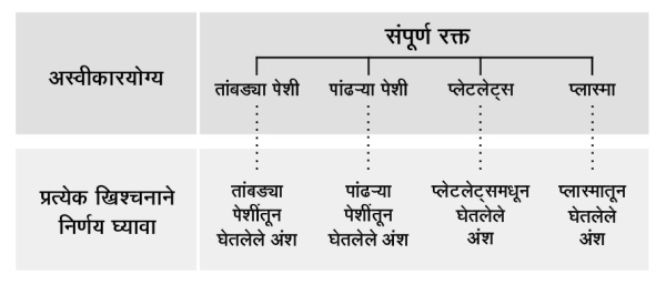 २४७ पानांवरील रेखाचित्र