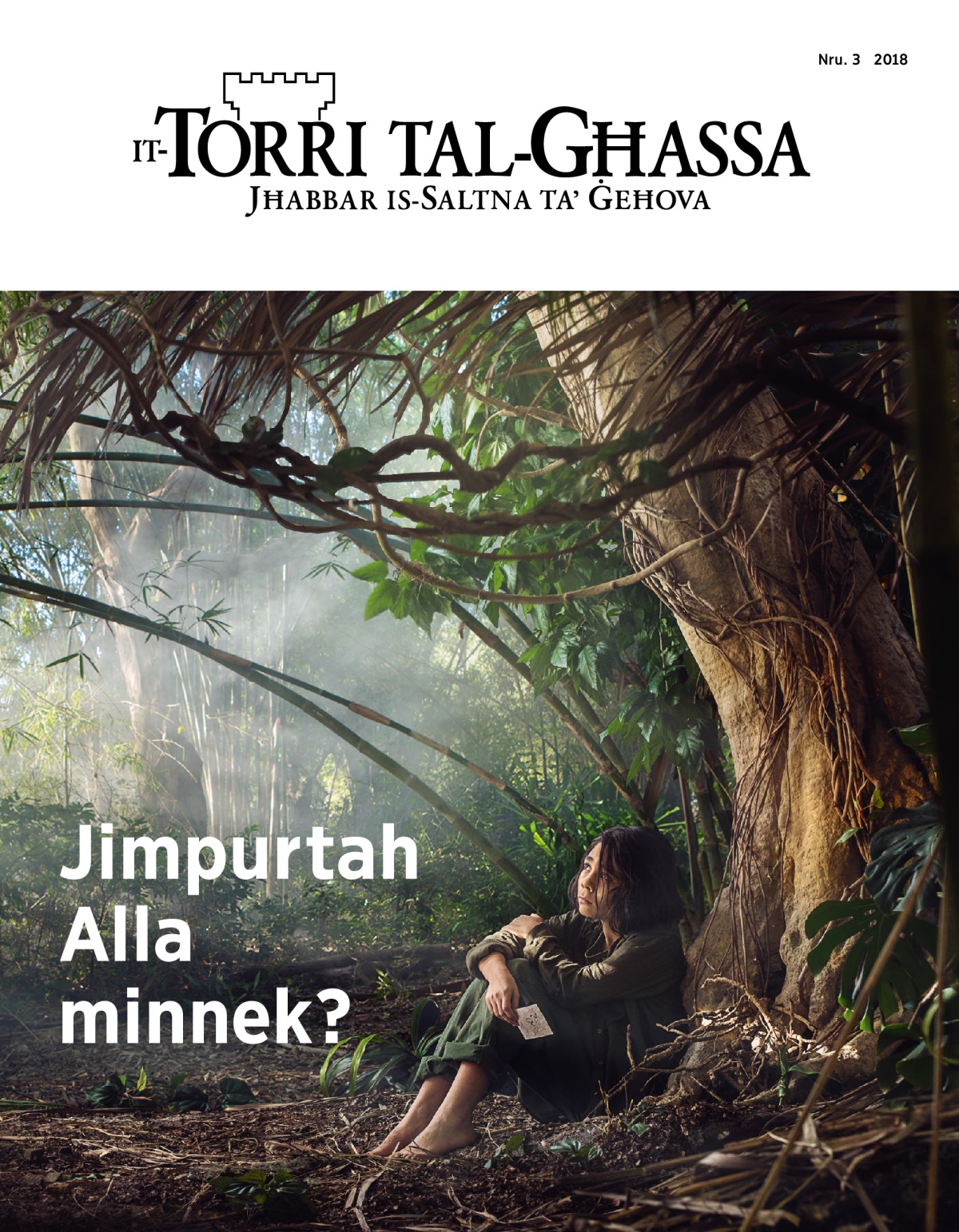 Ir-rivista It-Torri tal-Għassa, Nru. 3, 2018 | Jimpurtah Alla minnek?