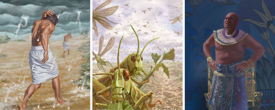 Ña̱ u̱xa̱, ña̱ u̱na̱, xíʼin ña̱ i̱i̱n tu̱ndóʼo ki̱xi nu̱ú na̱ ñuu Egipto: ñíʼin, ti̱ka, na̱kunaa